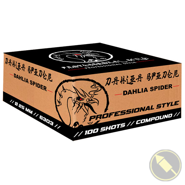 Dahlia-spider-professional-style