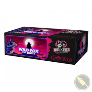 wild fox